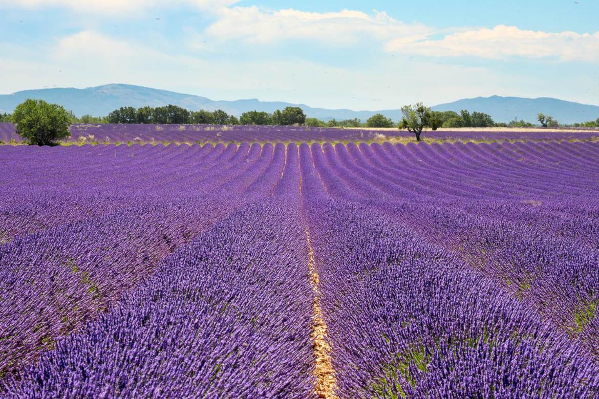 Gite Le Petit Vallon Allemagne-en-Provence Exterior foto